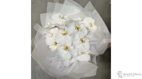 Same Day Flower Delivery Casey Region: 2026 Guide