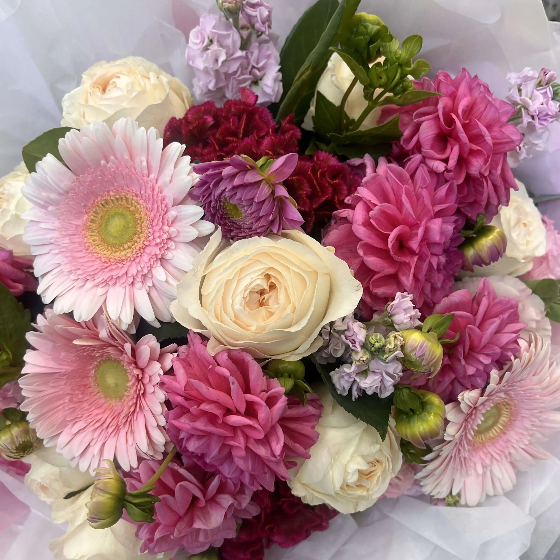 Mother's Day flower bouquet Berwick featuring bright pink dahlias, soft gerberas, and cream garden roses.
