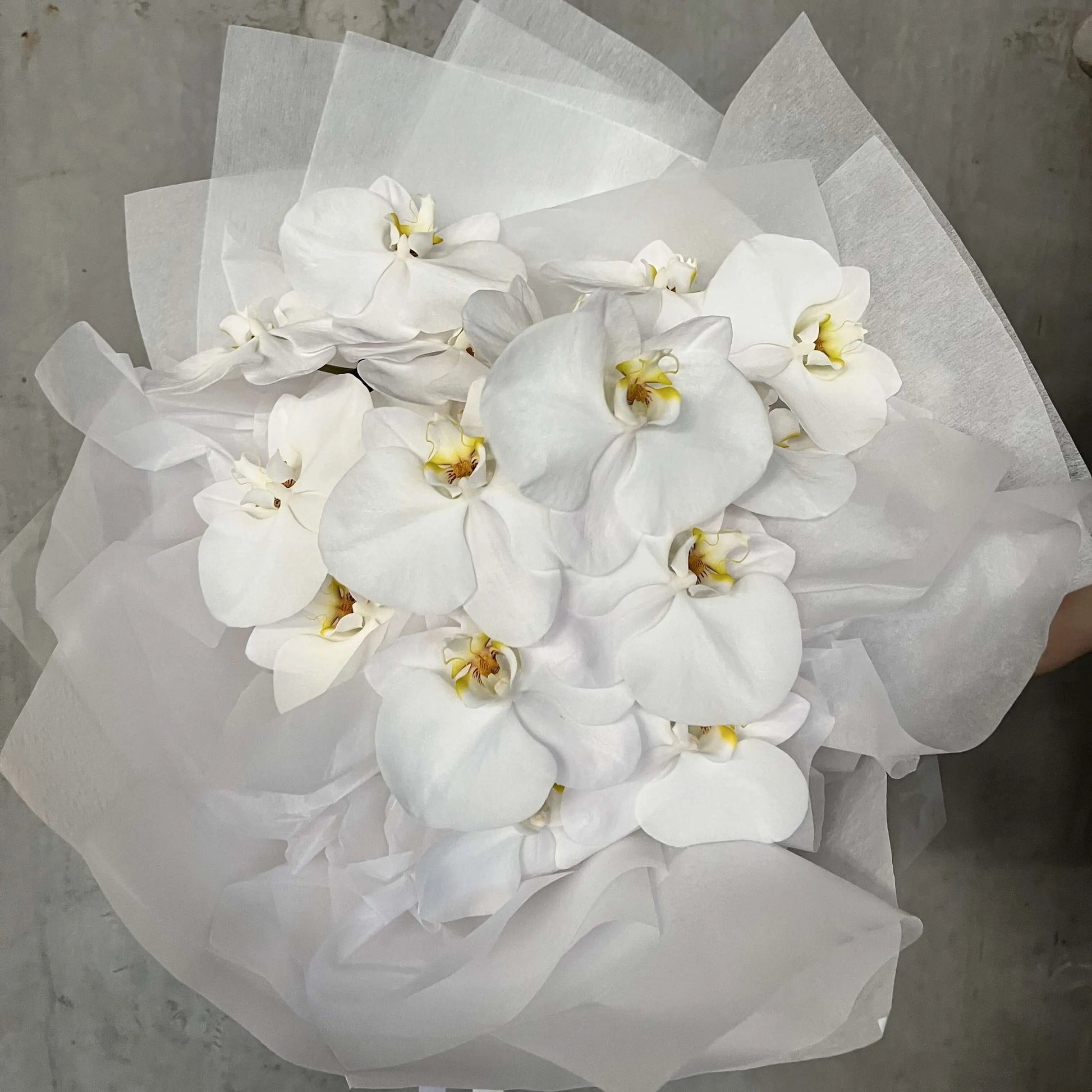 Queen Bee orchid bouquet from Berwick Flowers