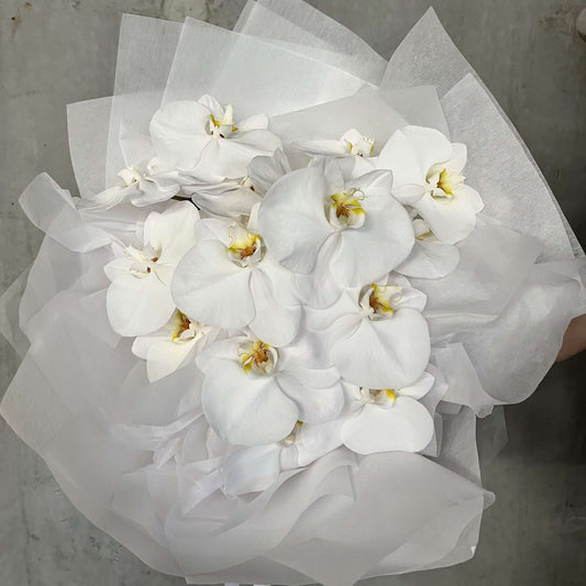 Beautiful Mother's Day orchid bouquet featuring elegant white orchids wrapped in delicate tissue.