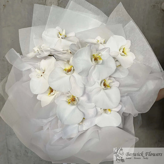 Bouquet of white orchids with sheer white ribbon against a gray concrete wall.