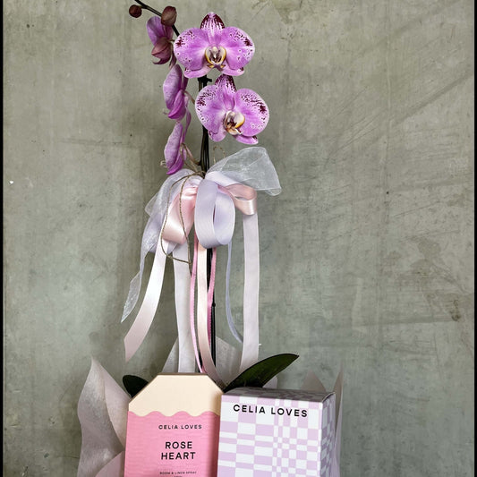 For You Mum | Mother's Day flower delivery Berwick featuring a purple orchid and gift box.